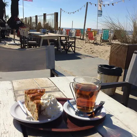 Attractive Near The Beach, Sea And Dunes Noordwijk