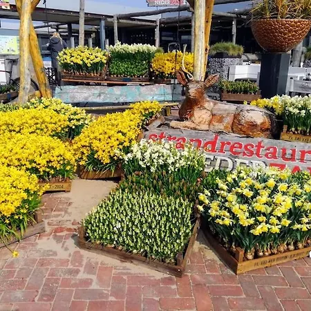 Attractive Near The Beach, Sea And Dunes 노르트베이크