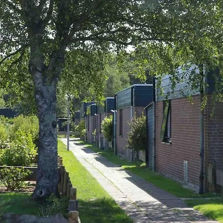 Attractive Near The Beach, Sea And Dunes Noordwijk